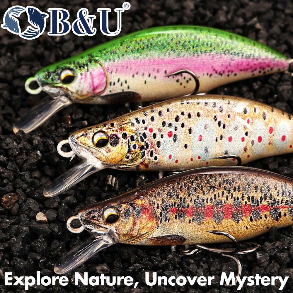 B&U Trout Pattern Hard Bait Si - đánh giá và giá Fishing Hook Assortment